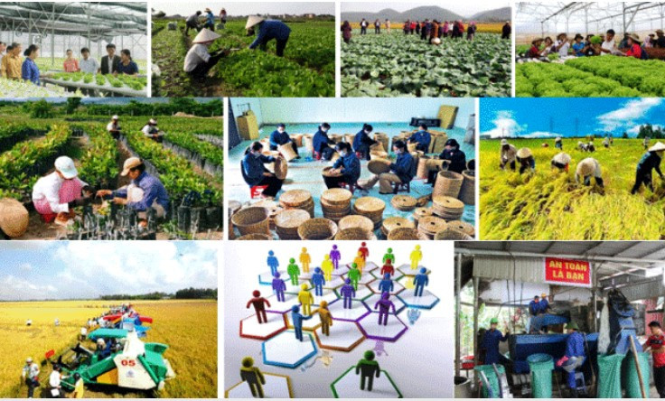 05 Quan điểm lớn về phát triển kinh tế tập thể giai đoạn 2026 – 2030