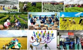 05 Quan điểm lớn về phát triển kinh tế tập thể giai đoạn 2026 – 2030