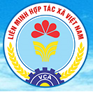 Liên Minh Hợp Tác Xẫ Việt Nam